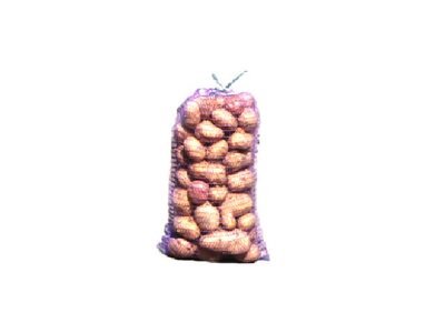 9202751.jpg
