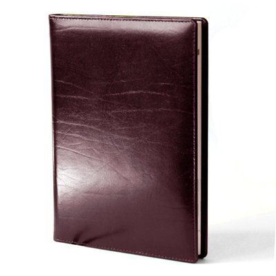 Diary-796-50-292.jpg_1