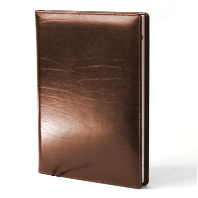 Diary-796-50-701.jpg_1